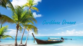 🏖 Best Tropical Caribbean and Steel Drum Music steeldrums [upl. by Lihkin]