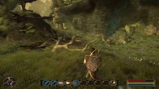 Gothic 3 Forsaken Gods  HD  Walkthrough  nr5  Barbabas has not paid Anton [upl. by Leontyne501]