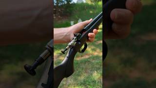 Whats It Like To Shoot The New Crickett 22LR [upl. by Yebot296]