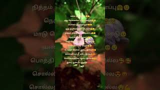 Kodiyile Malligai Poo Song Lyrics  Kadalora Kavithaigal  Jayachandran SJanaki Music Ilayaraja [upl. by Adnohsirk]