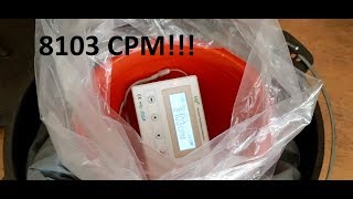 EP 55  8100 CPM Radioactive Fiestaware Geiger Counter [upl. by Ailimat]