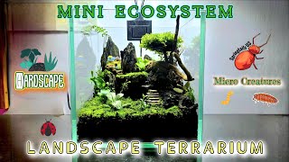 Terrarium  Nano Landscape Ecosystem 🌍 🌱 🐜 🐌 🐞  terrarium hardscapedesign ecosystem [upl. by Bria]