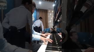 Passacaglia 🎹 reels music pianist pianomusic classicalpianist pianocover shortvideo shorts [upl. by Francene]