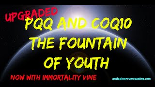 PQQ and CoQ10 Plus The Immortality Vine  The Fountain of Youth [upl. by Tryck]