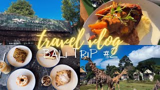 bali vlog ☕️ la brisa sunday market  bali safari  butterman  ubud market  living stone  cafe2 [upl. by Tabbie63]