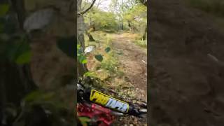 Pov moped mainia crash bike fail shorts [upl. by Ailerua]