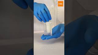 Certum Drug Test de Kabla✌🏻¡Encuentra el tutorial en nuestro canal toxicology antidoping [upl. by Gainor]