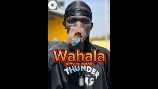 wahala song is out by Brizzy de dancer please subscribe to my YouTube channel southsudan music [upl. by Arekahs]