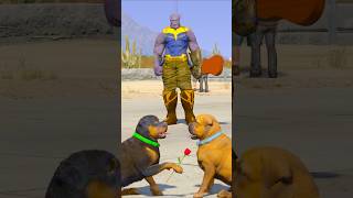 GTA V HULK DOG PROPOSED THANOS DOG shorts  Maheshwar Gamerz [upl. by Akemehc993]