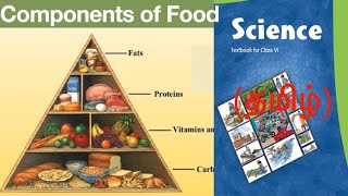 NCERT Science Class 6 தமிழ்  Chapter 2  Components of Food  Book Scribe [upl. by Ttesil]