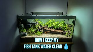 Secrets to Crystal Clear Aquarium Water [upl. by Elspet]