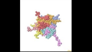 Estructura del nucleosoma [upl. by Milissent]