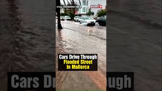 Mallorca Flood  Mallorca Hit By Heavy Rainfall And Floods  Spain Streets Flooded  shortvideo [upl. by Ahslek]