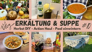 Erkältung amp Suppe 🤧🍲 Herbst DIY 🍂  Action Haul 🛍️  Pool Winterfest Machen ❄️🏊‍♂️ [upl. by Vary]