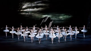 Swan Lake trailer The Royal Ballet [upl. by Yve]