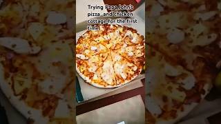 Trying Papa Johns pizza and chicken cottage pizza papajohns wings firsttime [upl. by Naitsirk658]