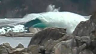 Japan Tsunami Wave Encounter [upl. by Stacia]