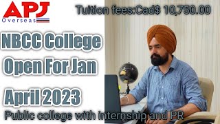 NBCC college Admission openlow cost public college in Canada IRCC  APJ Overseas Harjeet Sir [upl. by Weinreb934]