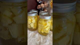 How to can fresh pineapple for long term food preservation🍍 canning homestead pineapple easy [upl. by Vaden]