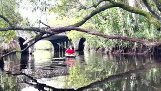 Amy Kayaking toward a bridge on the Loxahatchee River [upl. by Meer]