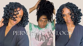 Perm Rods on Locs  Curly Locs  No Retwist [upl. by Karb]