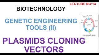 Plasmid Vectors  plasmid cloning vectors  biotecnology lectures [upl. by Ioab]