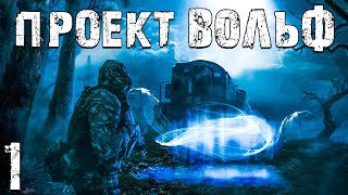 STALKER Проект Вольф 1 Пропавший Друг [upl. by Esorbma108]