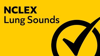 Lung Sounds  NCLEX Review [upl. by Samuelson]