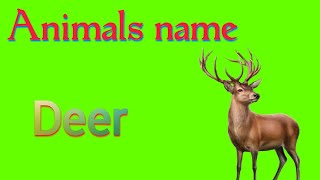 Deer ko hindi mein kya bolate hain  Deer meaning in hindi  Deer  हिरण  Spelling [upl. by Soule]