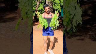 Diet plan Ideas tamil  Healthy Life style  Sathish fitness tamil [upl. by Cralg]