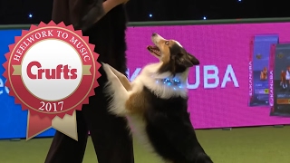 Heelwork To Music Competition Part 33  Crufts 2017 [upl. by Wiskind]