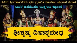 ಶ್ರೀಕೃಷ್ಣ ದಿನಾಶ್ವಮೇಧ  ಯಕ್ಷಗಾನ  ಕಟೀಲು ಮೇಳ  Srikrishna Dinashwamedha  Kateel Mela  Yakshagana [upl. by Siurad]