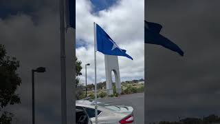 The Bonnie Blue Flag flying flags history csa civilwar [upl. by Chic871]