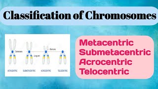 Classification of Chromosomes conceptualgeneticsandbreeding [upl. by Cavanagh]