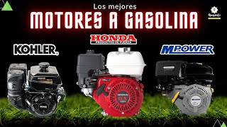 Motores a gasolina HONDA KOHLER Y MPOWER  Maquinco maquinaria [upl. by Anees]