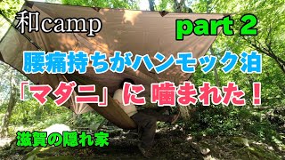 【和camp】マダニに噛まれた‼️初めてのハンモック泊 60過ぎの親父がソロキャンプ。 [upl. by Irehs]