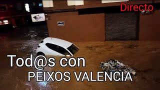 AYUDEMOS A PEIXOS VALENCIA  DANA VALENCIA 2024 [upl. by Nosaes]