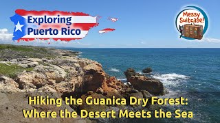 Hiking the Guanica Dry Forest Where the Desert Meets the Sea [upl. by Clayborn848]