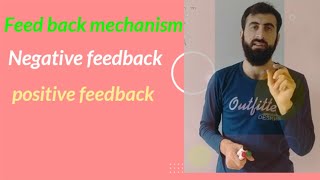 feed back mechanism negative and positive feedback in urdu hindi [upl. by Nnaaras313]