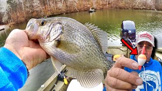 This Slip Bobber amp Live Minnow Setup Catches Giant Crappie [upl. by Tedi172]