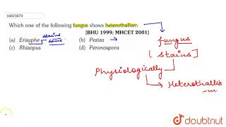 Which one of the following fungus shows heterothallism [upl. by Redleh]