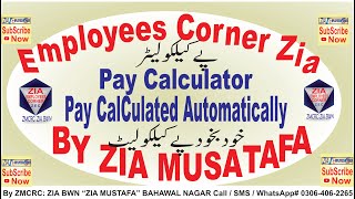 Pay Calculator 202122  Automatically Calculate Pay and Allowances Updated Employees Corner Zia [upl. by Milty271]