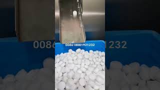 Salt tablet press machine for water softener salt tablet production [upl. by Aerdnahc]