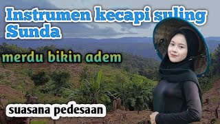 Instrumen Kecapi Suling Sunda Merdu Bikin Adem  Suasana Pedesaan [upl. by Antoinette]