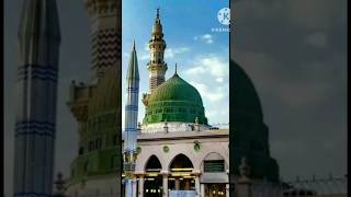 فاصلوں کو تکلف ہے ہم سے اگر ۔نعت newnaat tranding newnaat vairalvideo mtayyab [upl. by Gulick425]