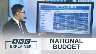 A look into the proposed 2020 national budget  Dissecting Data [upl. by Anilehs]