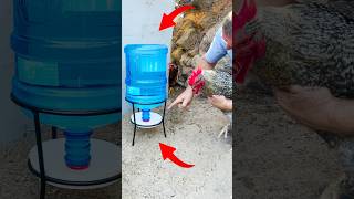 20 Litre Danacana ile Otomatik Tavuk Suluk Yapımı chicken diychickencoop diy [upl. by Akimal]