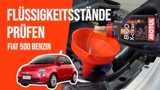 Die Flüssigkeitsstände prüfen Fiat 500 12 8V 📏 [upl. by Russ954]