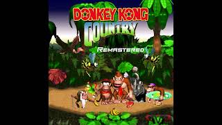 Treetop Rock From quotDonkey Kong Countryquot [upl. by Yddur]