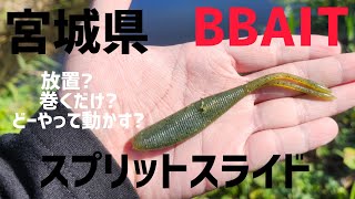 【宮城県バス釣り 】BBAITのワームってこんなに凄いの♯バス釣り♯宮城県♯BBAIT ♯スライド [upl. by Sokram18]